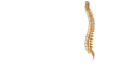 University Spine Center Logo